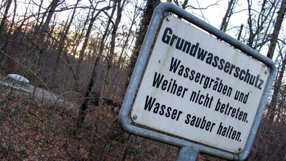 Grundwasserzone im Hardwald