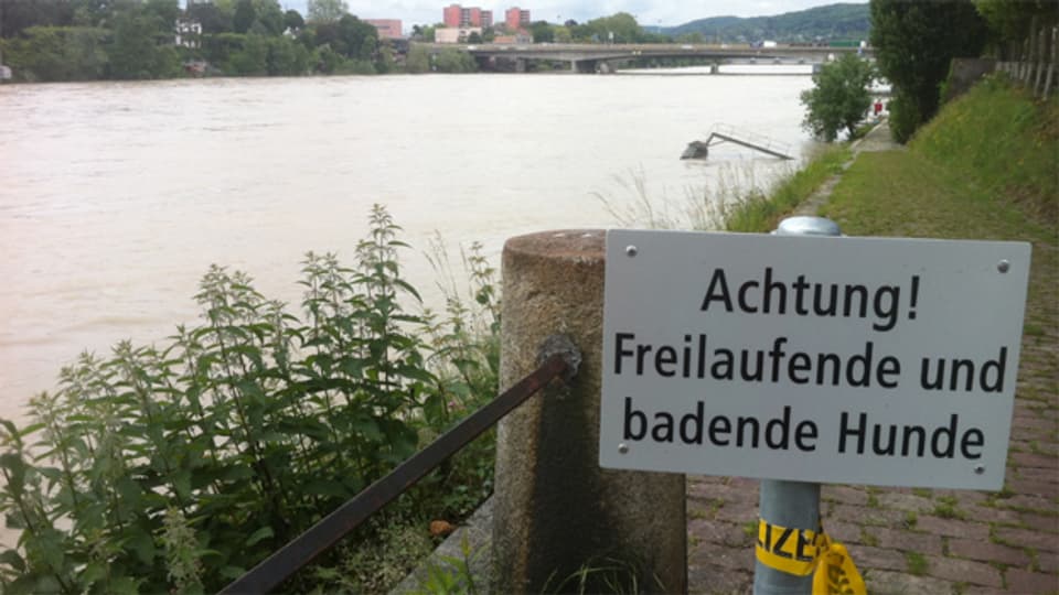 Badezone für Hunde am Rhein in Basel