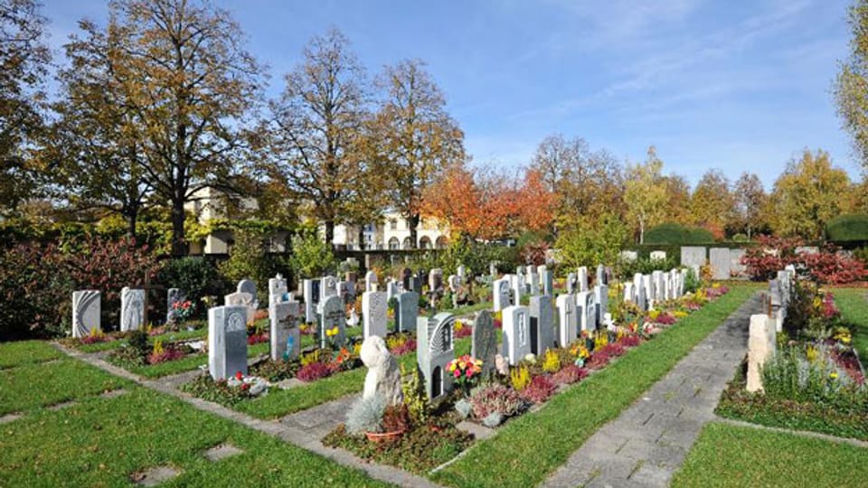 Grabfeld auf dem Friedhof Hörnli