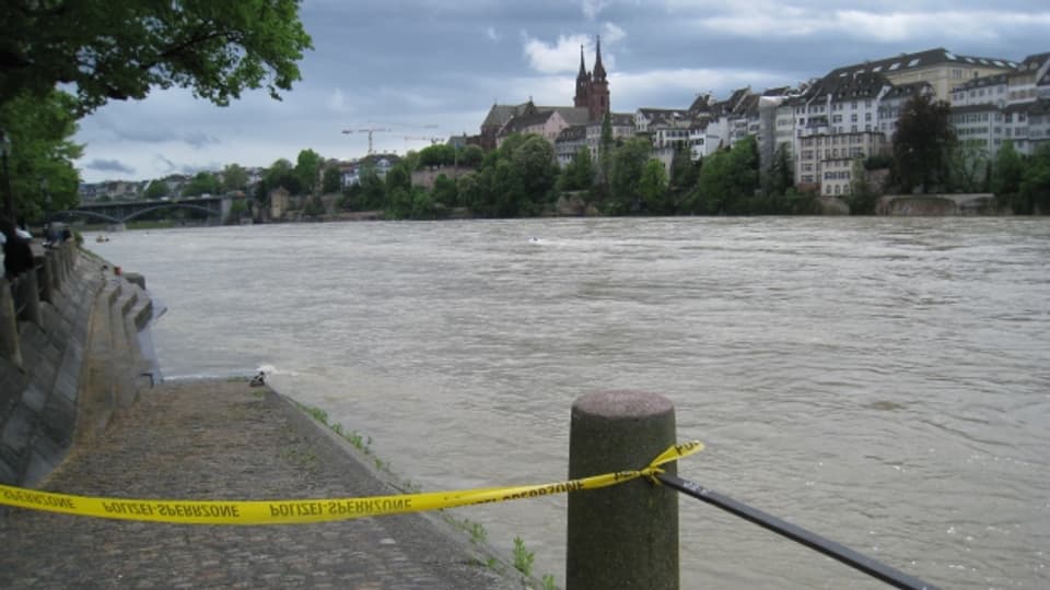 Der Rhein führt derzeit viel Wasser.