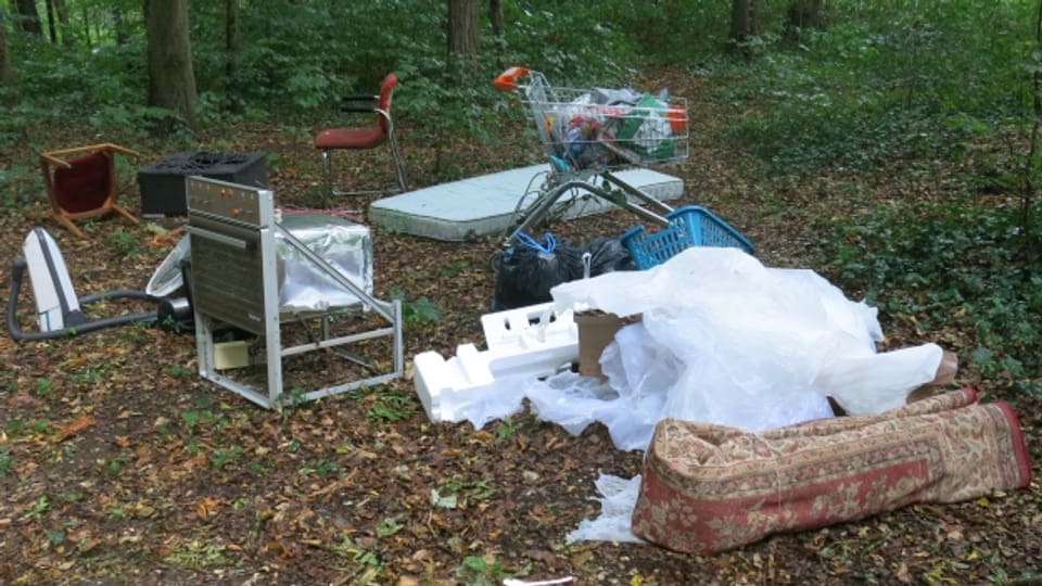 Teppiche, Stühle, Matratzen - im Birsfelder Hardwald wird allerlei Abfall illegal entsorgt.