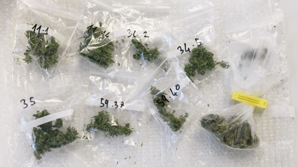 Basler Cannabis-Studie soll wieder aufgenommen werden