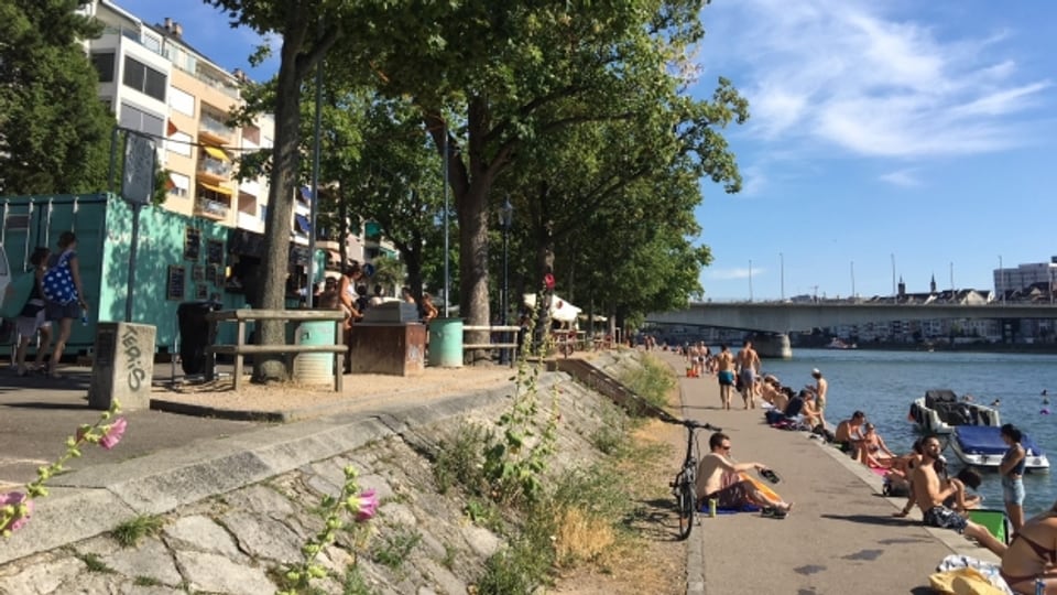 Der Rhein hat sich in den letzten Jahren zu einem beliebten Treffpunkt entwickelt