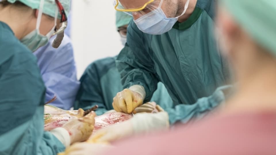 Eine Mindestzahl an Operationen pro Arzt soll die Kosten dämpfen