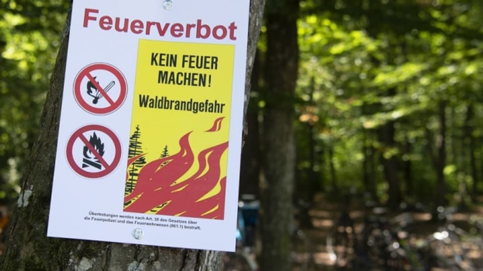 Die Behörden haben deshalb am Montag das bedingte Feuerverbot im Wald und in Waldesnähe aufgehoben.