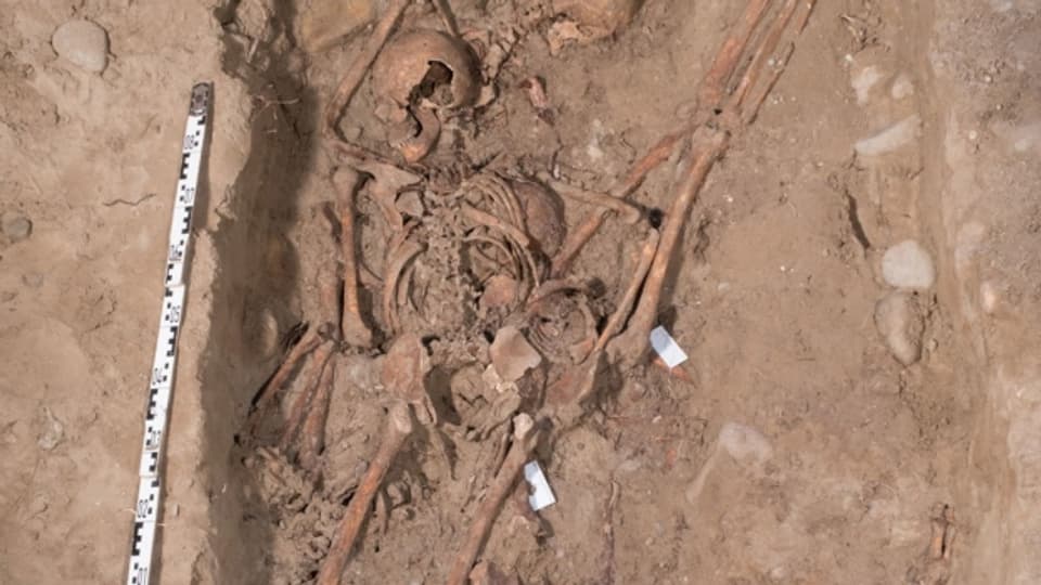 Archäologen haben 27 Skelette ausgegraben. Die Toten waren Soldaten zur Zeit der Napoleonischen Kriege im 19. Jahrhundert. Sie fielen einer Epidemie zum Opfer.