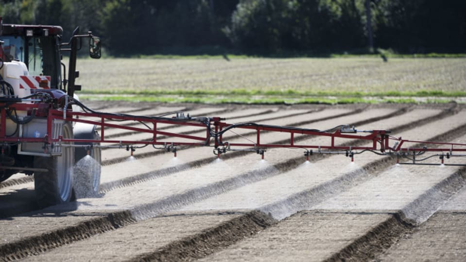 Viele Bauern in der Region brauchen bei der Bewirtschaftung der Felder Pestizide.