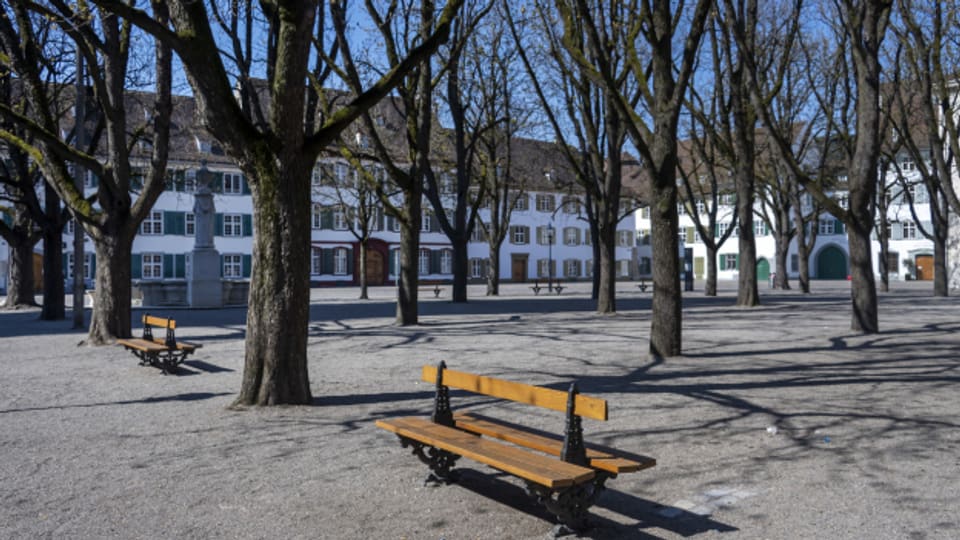 In Basel-Stadt sollen weniger Bäume gefällt werden.
