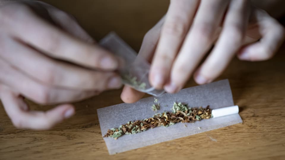 Cannabis-Abgabe in Basler Apotheken bewilligt