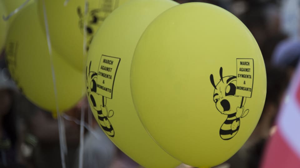 Demonstration gegen Syngenta