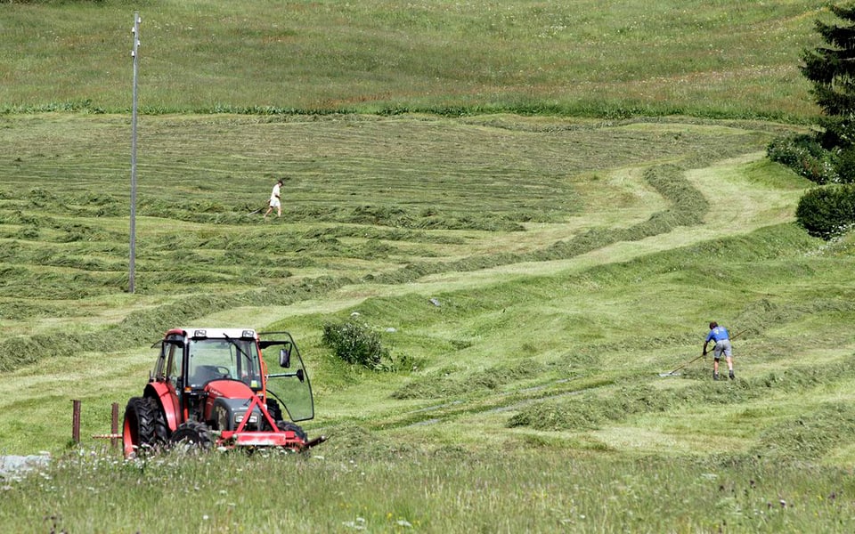 Ein Traktor mäht eine Wiese bei Davos.