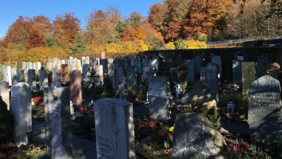 Seit 20 Jahren gibt es den Friedhof Fürstenwald in Chur.