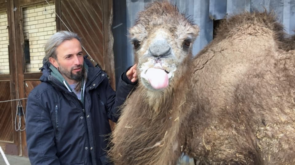 «Bajkal ist schon 29 Jahre alt und hat fast keine Zähne mehr»: Ulli Runge vom Kamelaltersheim.