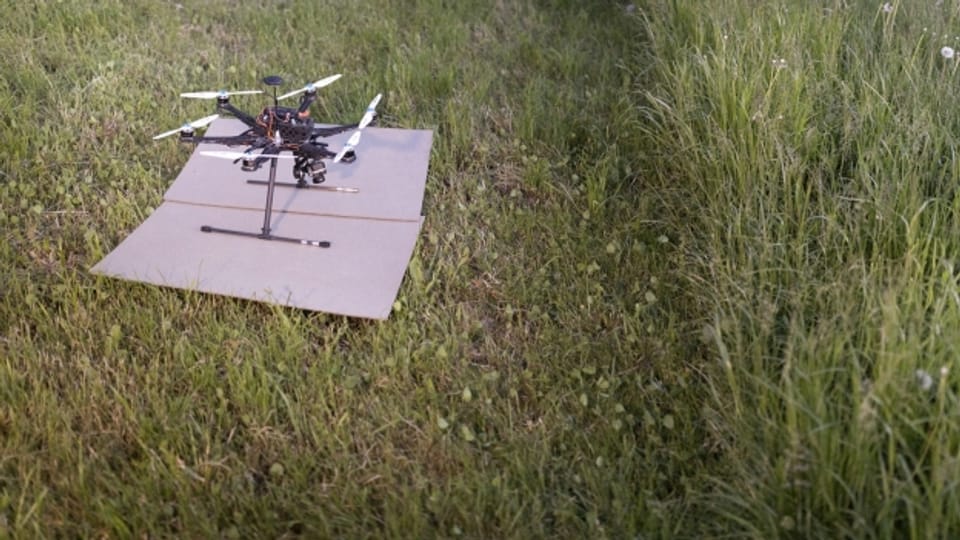 Der Kanton Graubünden setzt bei der Rettung von Rehkitzen auf Drohnen.