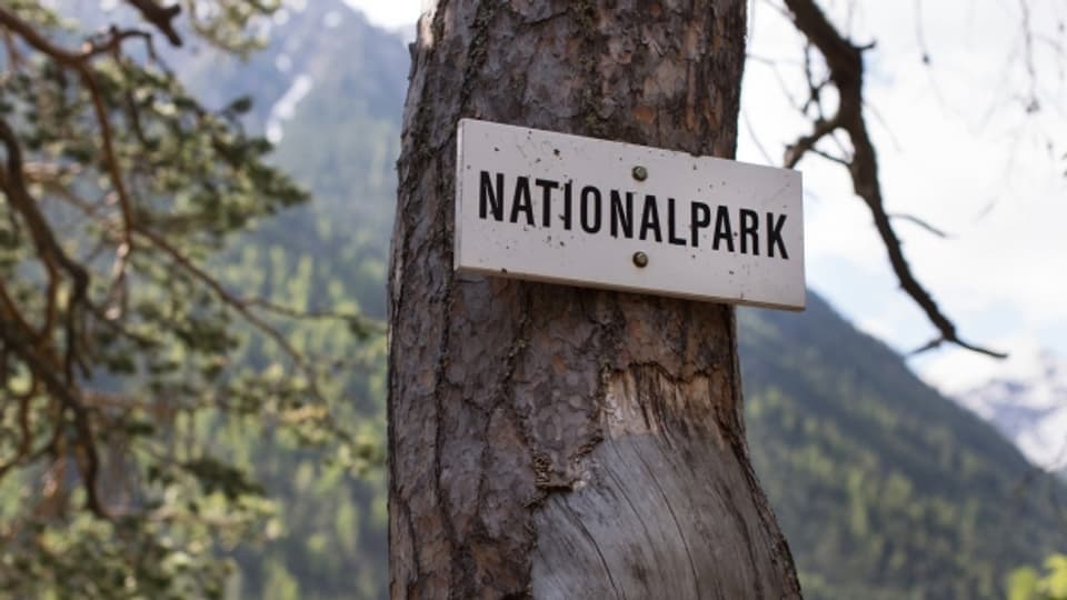 Der Schweizerische Nationalpark im Kanton Graubünden braucht Geld.