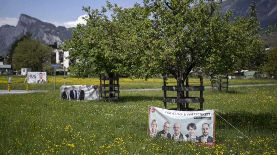 Diverse Wahlplakate auf einer Wiese.