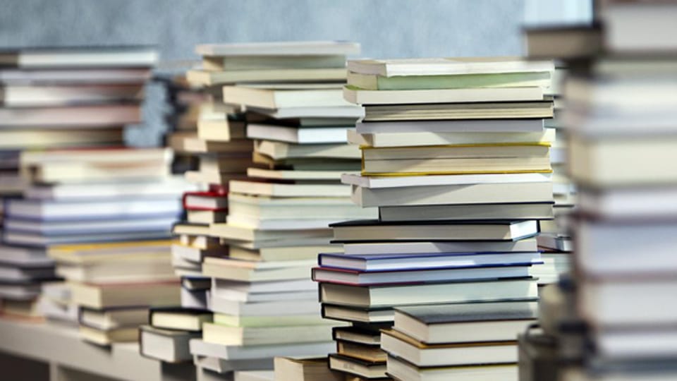 Über drei Millionen Bücher sollen in Büron gelagert werden.