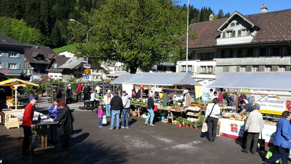 Der 1. Entlebucher Kräuter-und Wildpflanzenmarkt zog viele Besucher an.