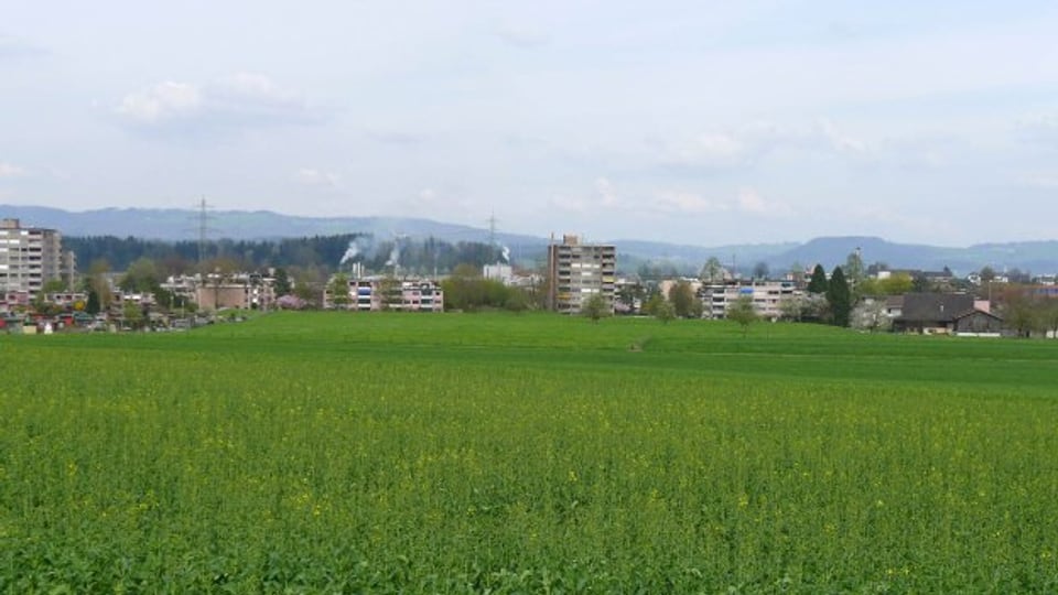 Der Röhrliberg wird als Kanti-Standort dem Areal der Cham Paper bevorzugt.
