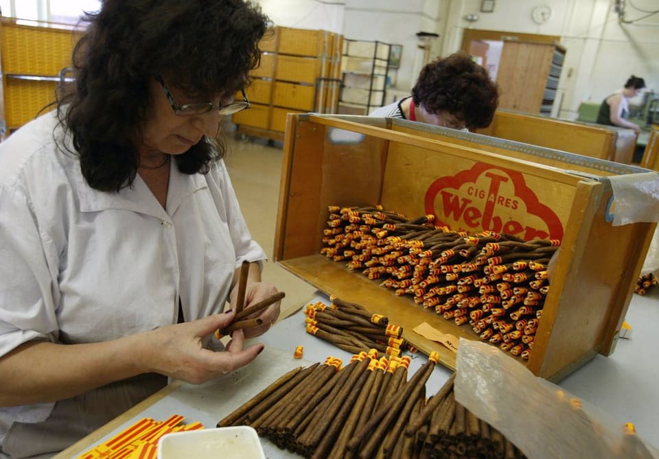 In der Zigarrenfabrik in Pfeffikon werden die «Krummen» noch von Hand geflochten.