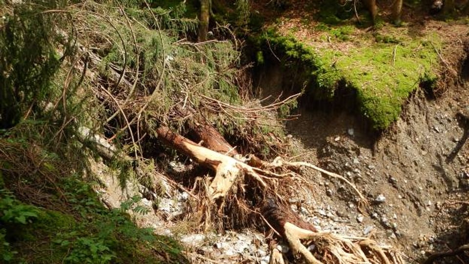 Die Kantone Luzern und Bern räumen die Schäden im Wald auf.
