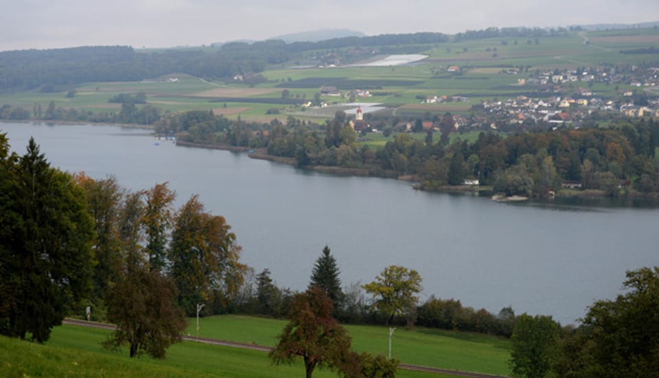  Bild in Lightbox öffnen.  Bildlegende: Der Baldeggersee, aktuell im Besitz von Pro Natura Luzern, soll künftig dem Kanton gehören.