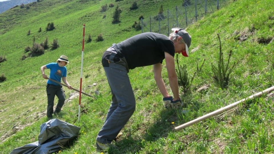 Die Freiwilligen sind im steilen Gelände im Einsatz.