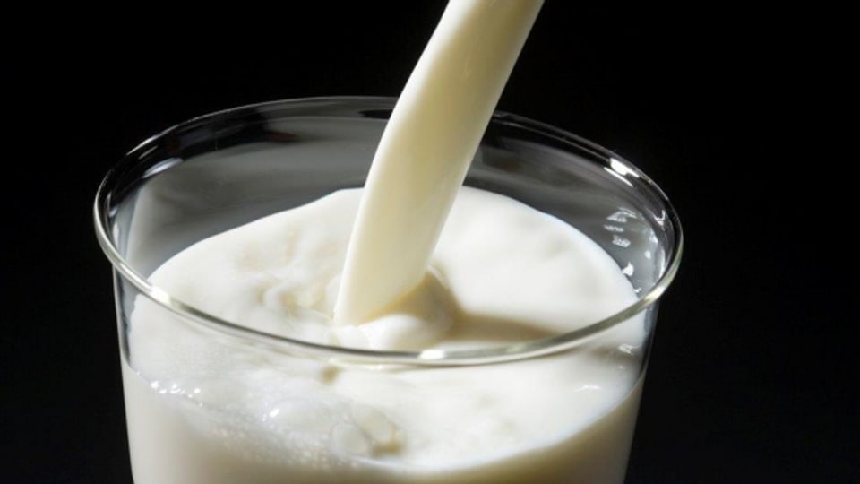 Die Milchhuus AG verarbeitet 22 Millionen Kilo Milch.