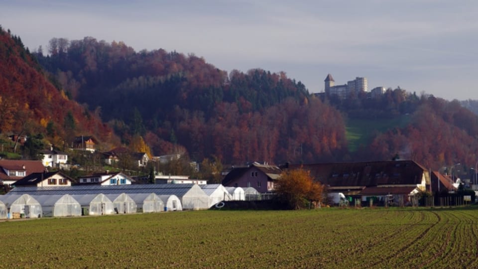 Blick auf die Gemeinde Wikon mit dem Schloss Marienburg