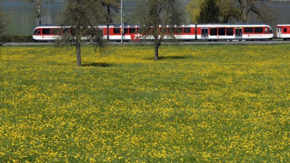 Unter dem Strich verdiente die Zentralbahn letztes Jahr 6,3 Millionen Franken.