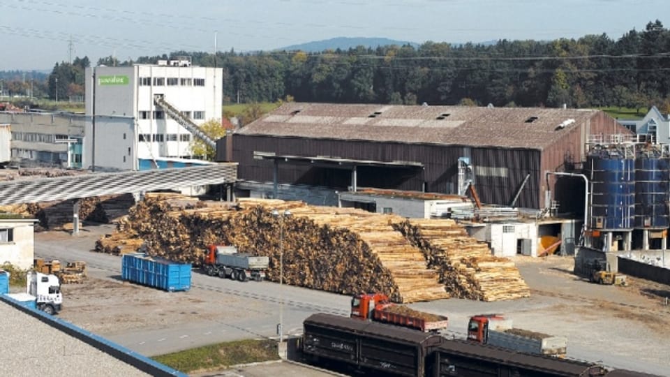 Die Schliessung des Pavatex-Werkes in Cham löst Betroffenheit in der Holzbranche aus.