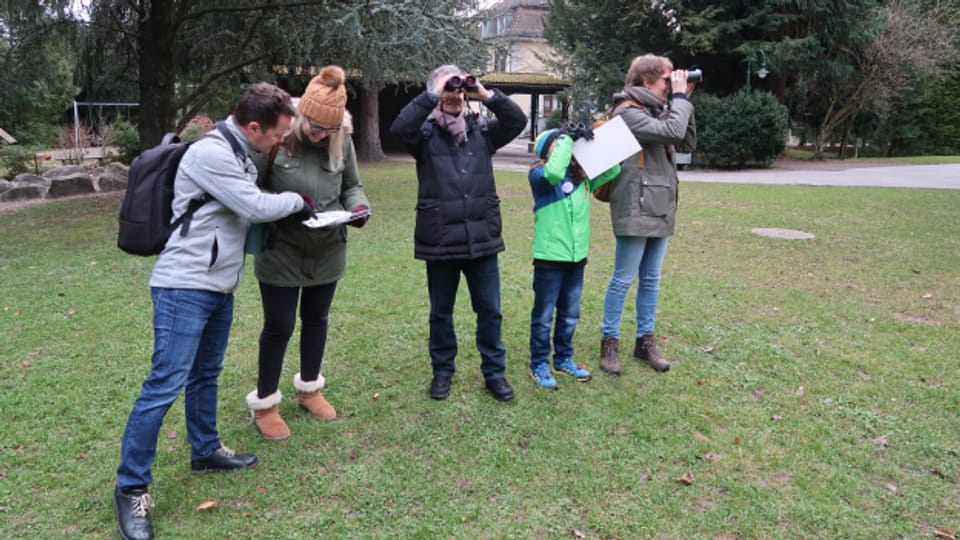 Eine Gruppe interessierter Vogelbeobachter im Bellpark in Kriens.