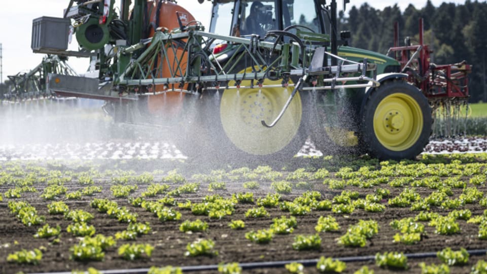 Der Einsatz von Pflanzenschutzmitteln steht im Fokus der beiden Agrarinitiativen.