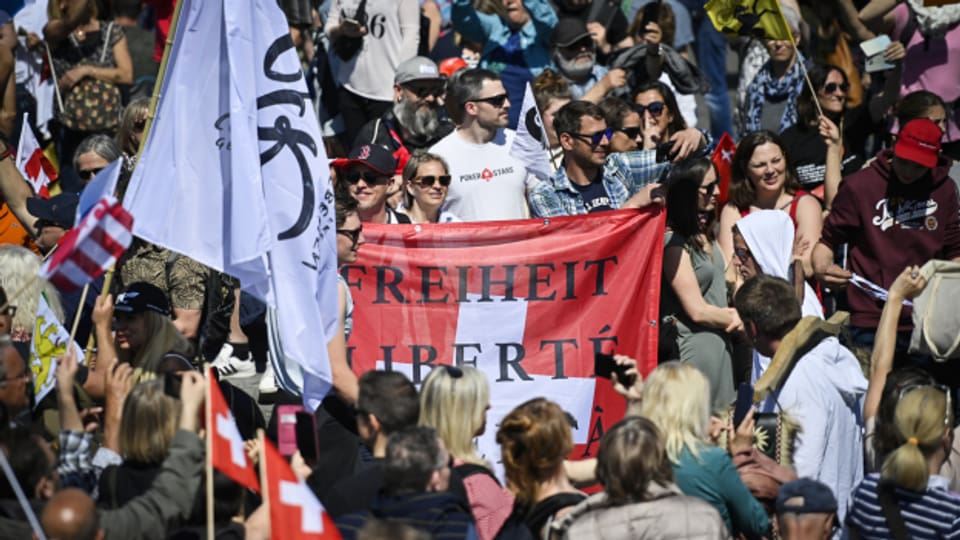 Ein Schwyzer hielt an einer Corona-Demo eine Rede mit happigen Aussagen.