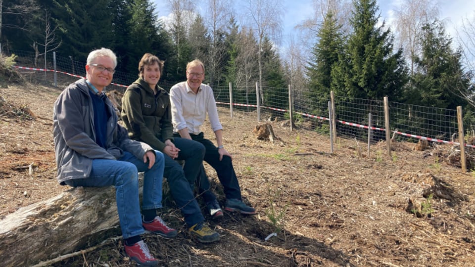 Peter Brang von der Forschungsanstalt WSL, Sabrina Maurer vom Amt für Wald und Wild und Regierungsrat Andreas Hostettler auf dem Versuchsterrain