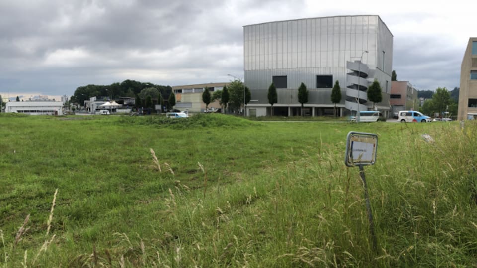 Auf dieser Wiese beim Südpol (im Hintergrund) entsteht der Car-Parkplatz.