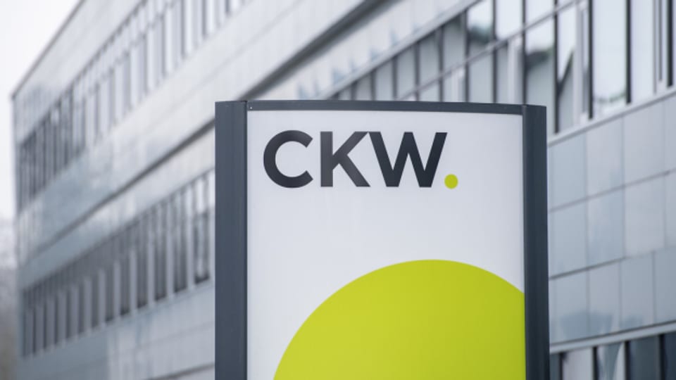 Die CKW will das neue Kraftwerk mit Holz aus der Region betreiben.