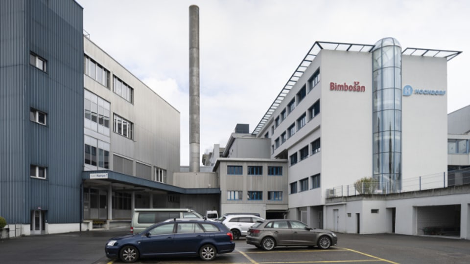 Es gibt neue Pläne für das Südiareal, wo aktuell noch der Milchverarbeiter Hochdorf tätig ist
