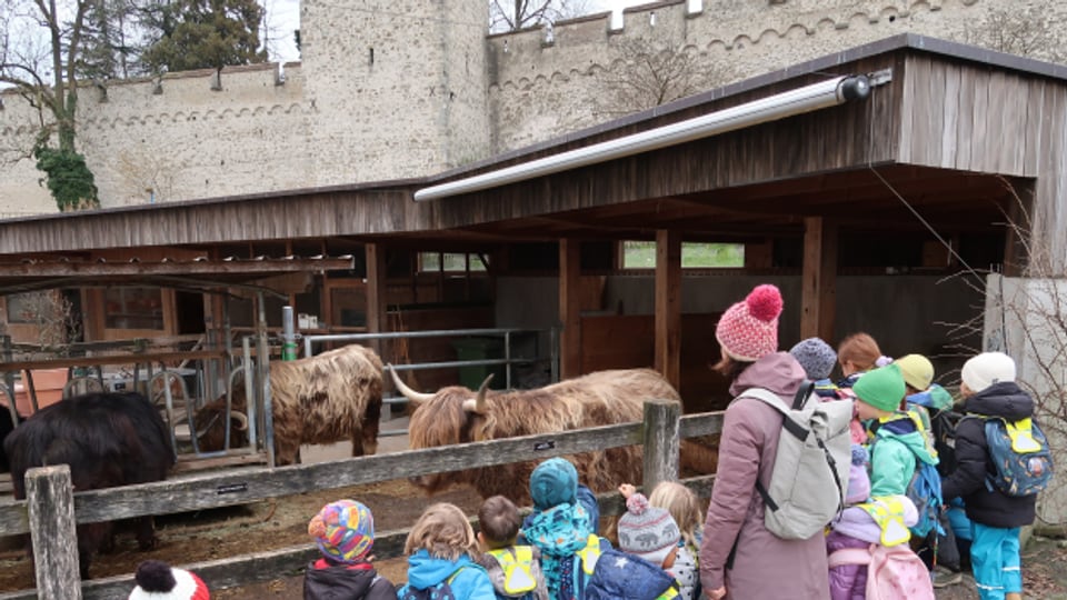 Eine Kindergartenklasse besucht den Kulturhof Hinter Musegg.