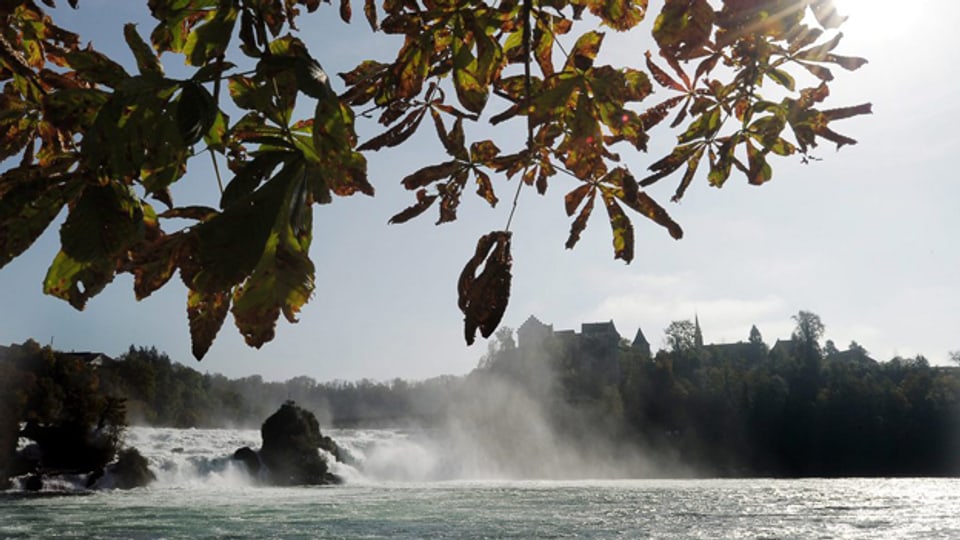 Der Rheinfall: Naturerbe oder Energiequelle?
