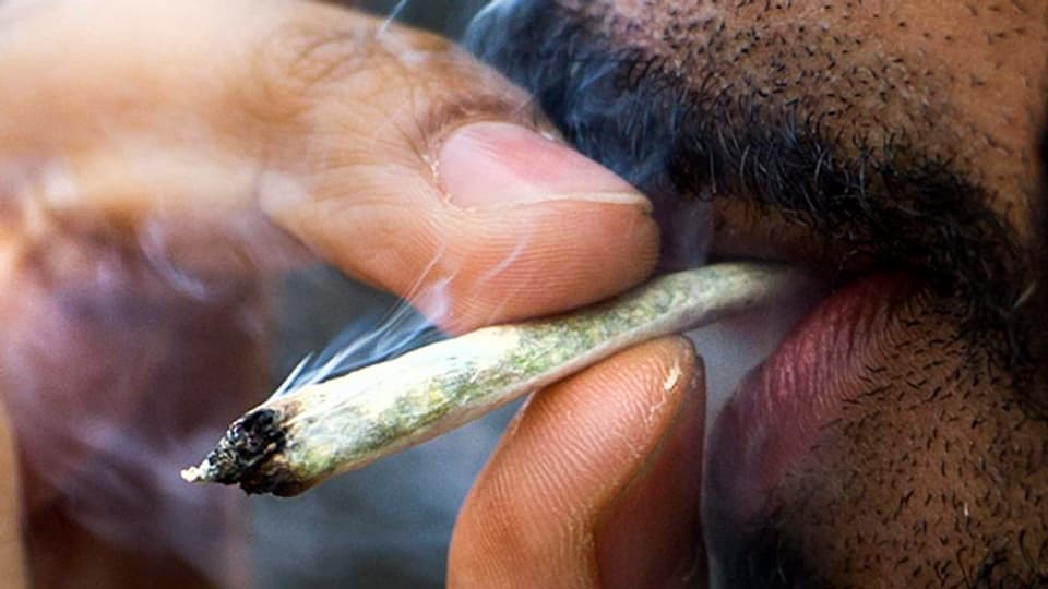 Neue Wege im Umgang mit Kiffern: Genfer Politiker fordern Cannabis-Clubs.