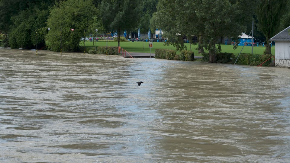 Kein Bad in der Aare: Hochwasser vom 13. Juli 2014