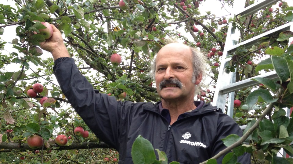 Helmut Müller hegt und pflegt rund 300 verschiedene Apfelsorten.