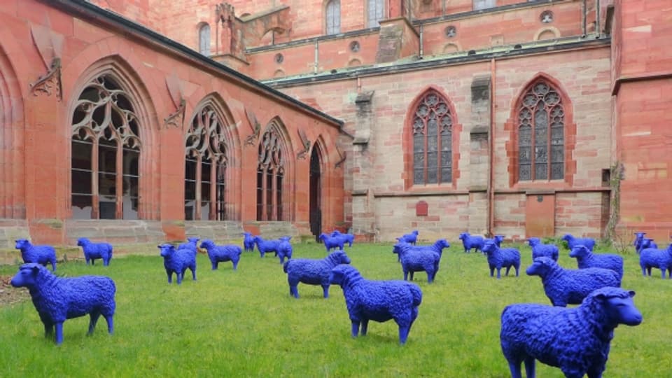 Blaue Plastikschafe grasen derzeit beim Basler Münster