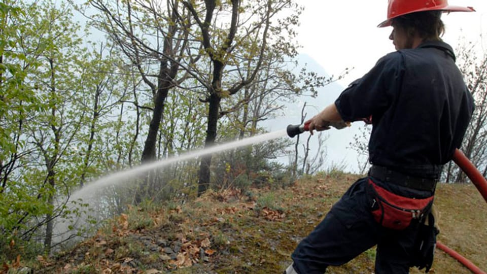 Neues Warnsystem für Waldbrandgefahr soll Pikettdienste einsparen.