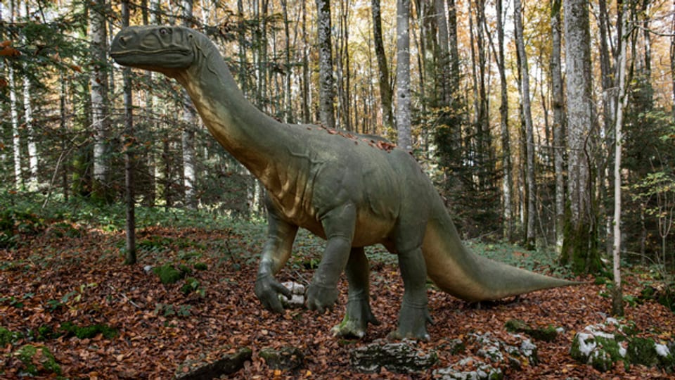Etwa so könnte der Plateosaurus aus Frick ausgesehen haben.