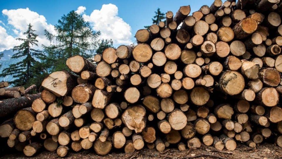 Vom Holzverkauf können die Bürgergemeinden nicht mehr leben