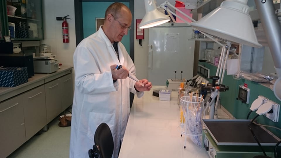 Biochemiker und Leiter Tessiner Tigermücken Taskforce Mauro Tonolla