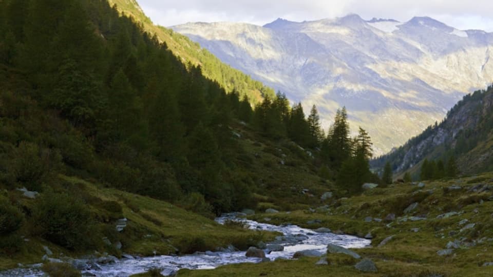 Das Hochtal «Val di Carassino» wäre Teil des regionalen Naturparks.