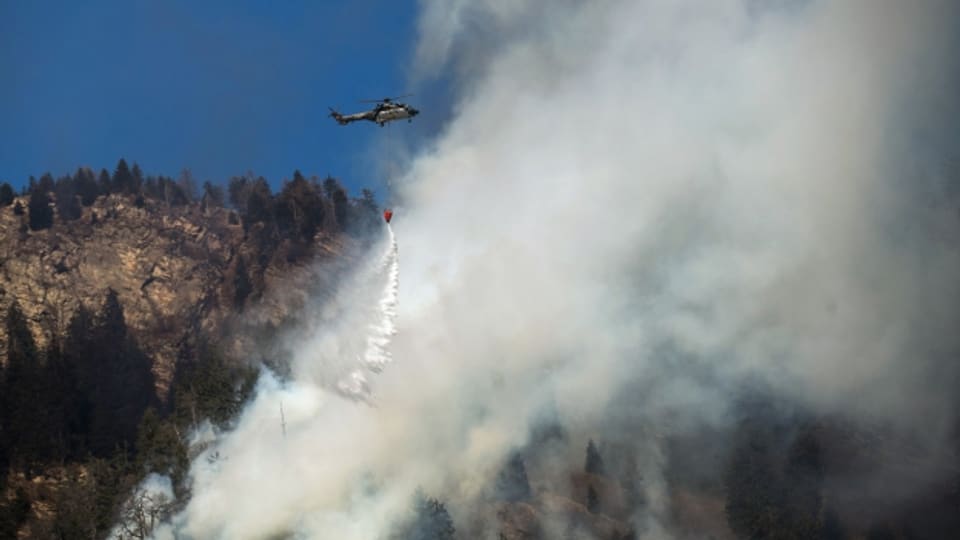 Helikopter bei der Löscharbeit im Misoxer Waldbrandgebiet.